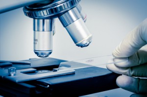 Eukaryopolis - The City of Animal Cells