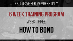 WEEK THREE – How To Bond