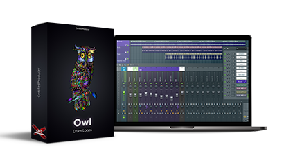 Owl – Drum Loops